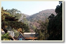 Shangfangshan National Forest Park + Tanzhe Temple Day Tour